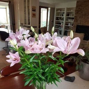 Meet your Posher, Barbara